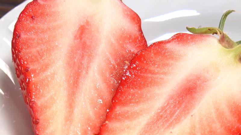 自家栽培イチゴ「紅ほっぺ」