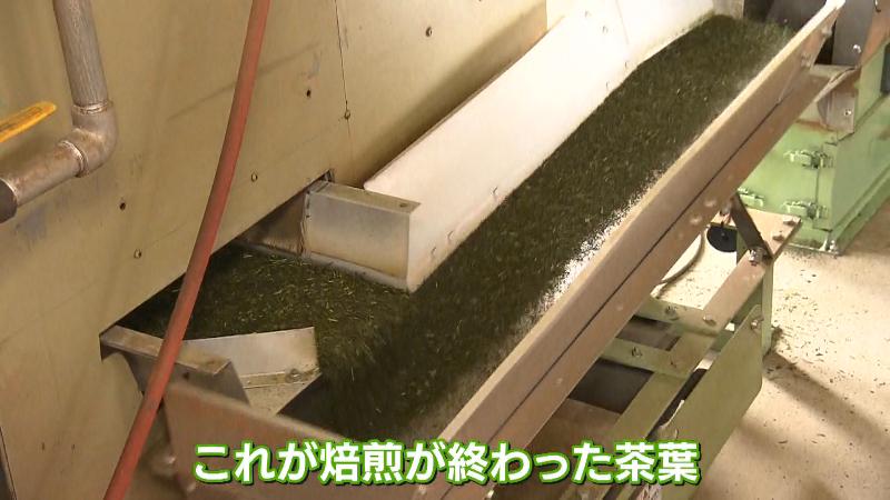 焙煎が終わった茶葉