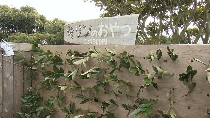 キリンのおやつ