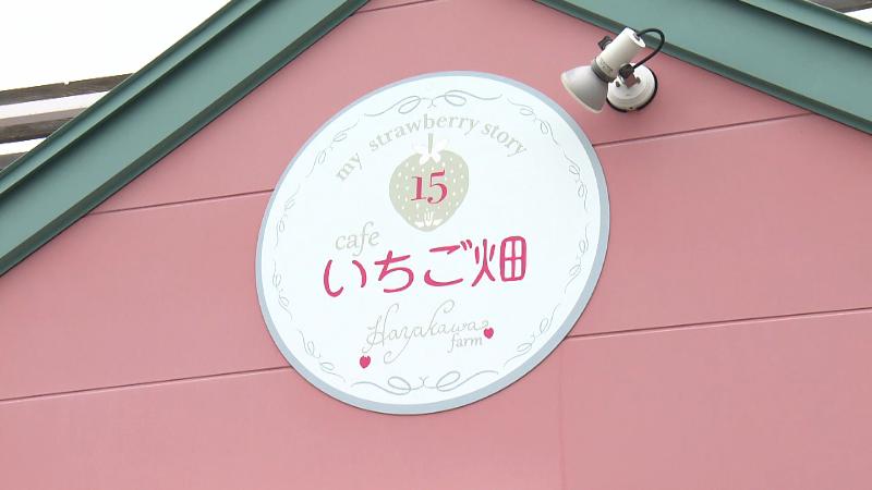 早川農園&cafe いちご畑看板