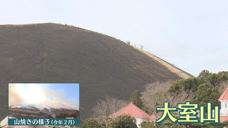 大室山の山焼き