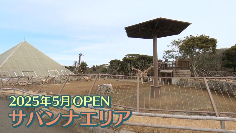 サバンナエリア