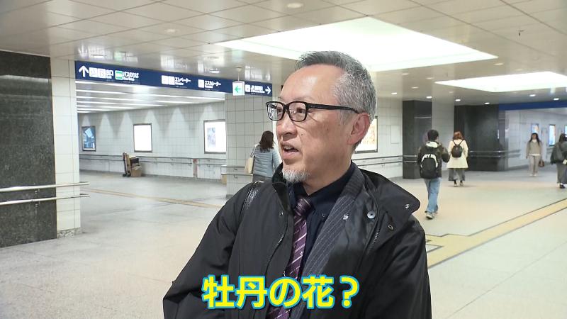 街頭インタビュー　「ぼた」の由来を知っていた人