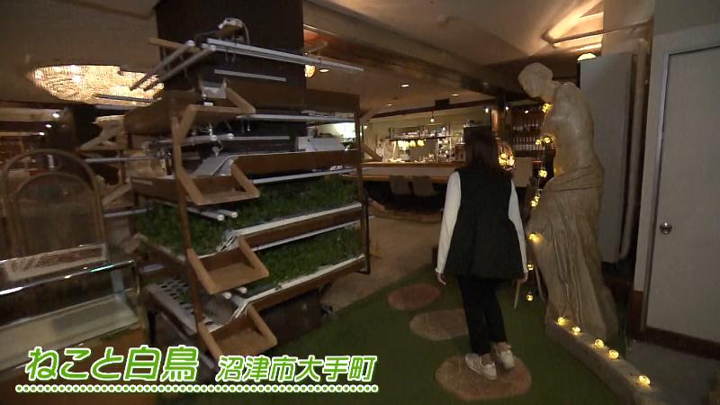 ねこと白鳥の入口