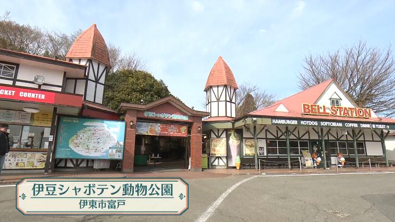 伊豆シャボテン動物公園の入口