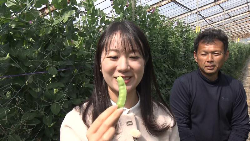 生の砂糖えんどうを試食する室伏アナウンサー