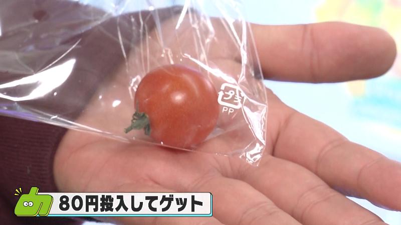 80円投入してミニトマトをゲット