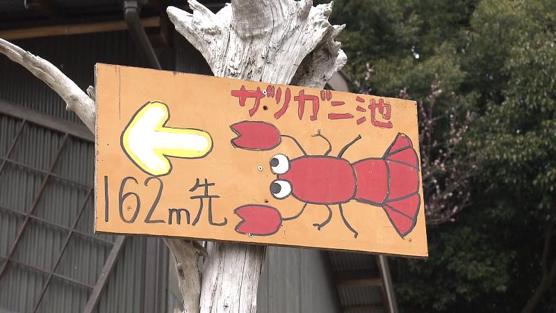 ザリガニ池への標識