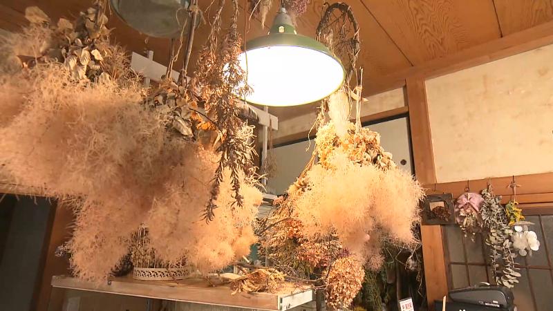 店内に飾られたたくさんのドライフラワー