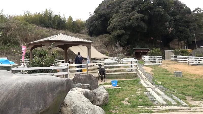 西郷ファームの園内