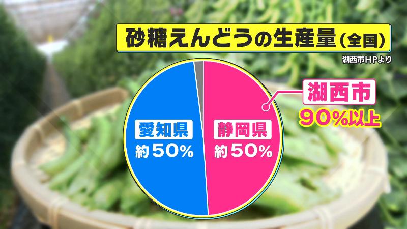 生産地の割合　静岡約50％・愛知約50％