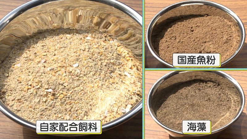 ニワトリの飼料