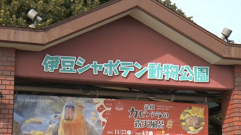 入口の看板