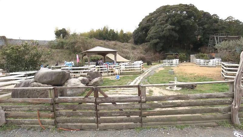 西郷ファームのヤギエリア