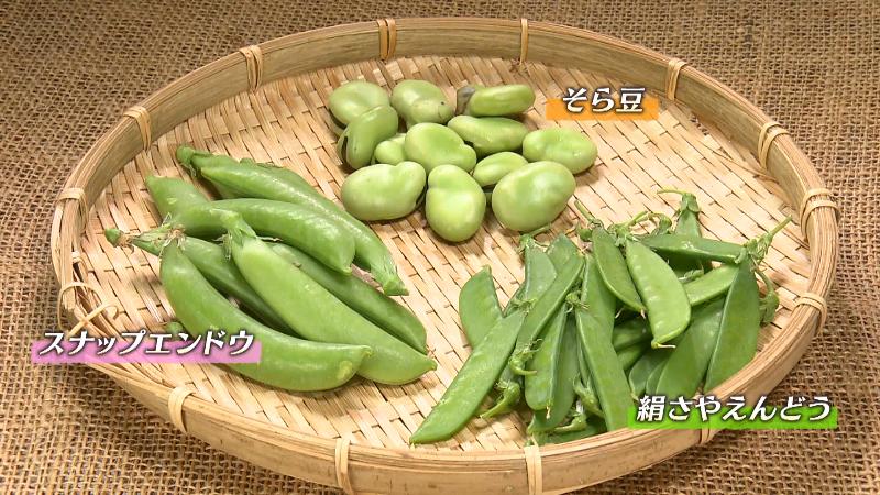 ソラマメ・スナップエンドウ・絹さやえんどう
