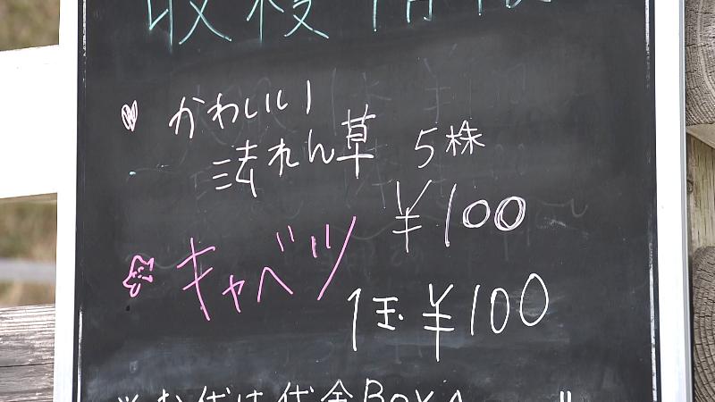 黒板に書かれた収穫体験の値段
