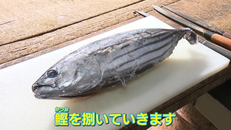 わら焼き体験でさばくカツオ