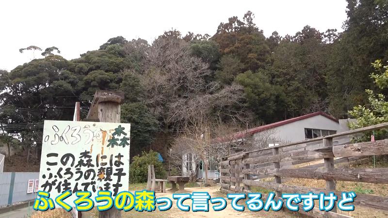 ふくろうの森の標識