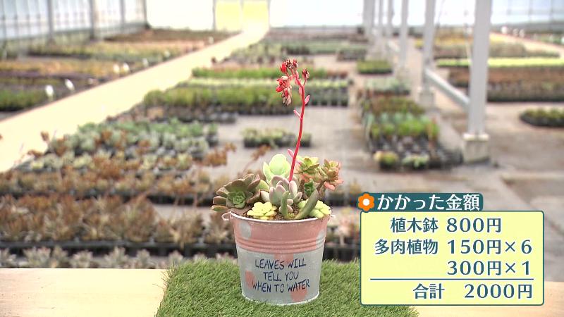 かかった金額は2000円