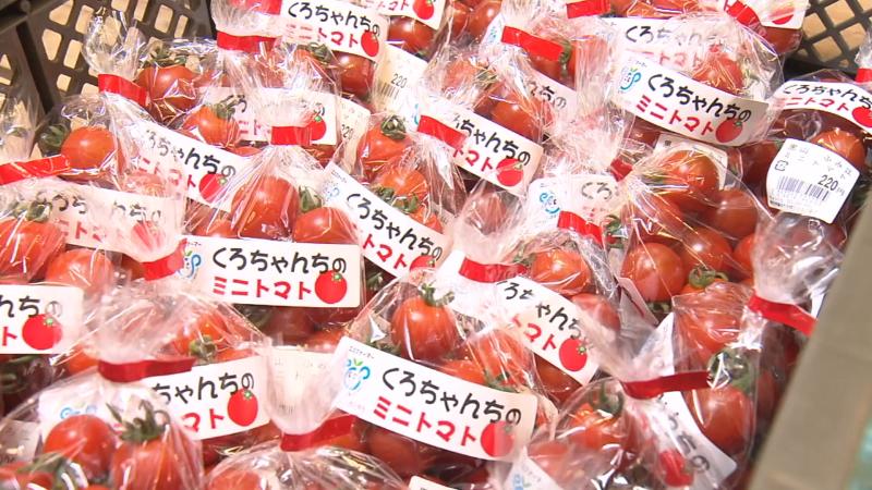 くろちゃんちのミニトマト
