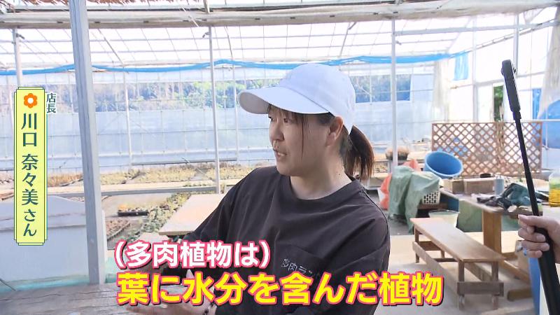 多肉ランドトニートニー・川口奈々美店長