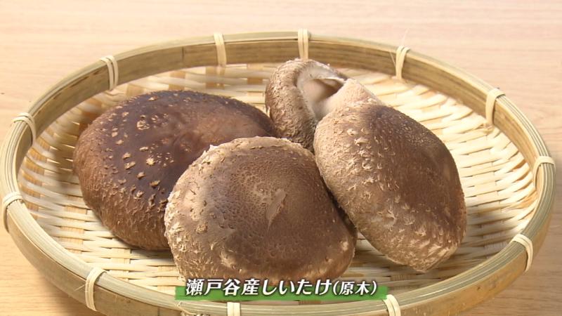瀬戸谷産しいたけ(原木)