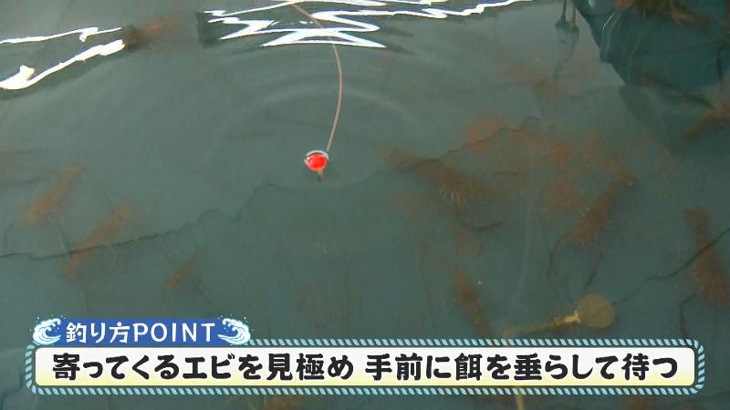 釣り堀に釣り糸を垂らす