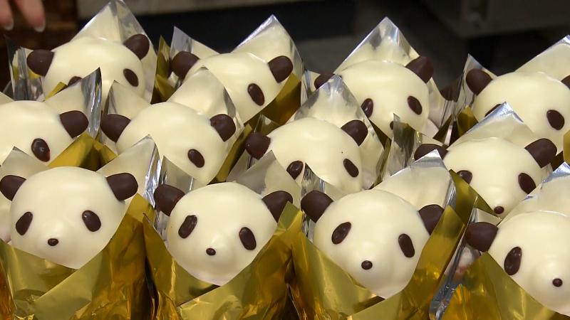 たくさんのパンダちゃん(421円)