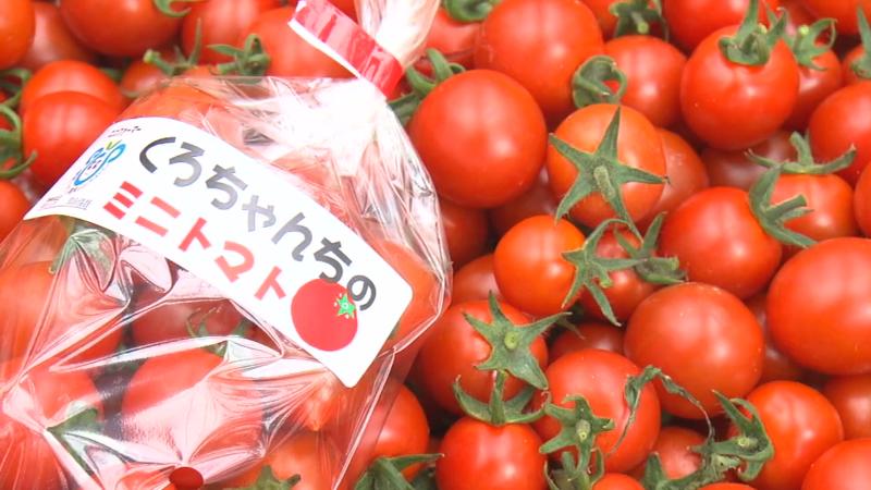 くろちゃんちのミニトマト