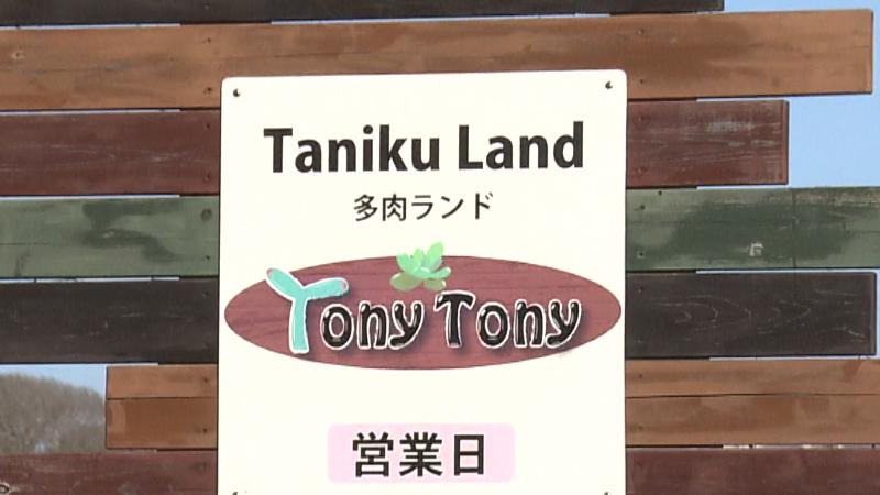多肉ランドTony Tonyの看板