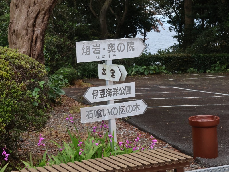 石喰いのモチノキと書かれた案内標識