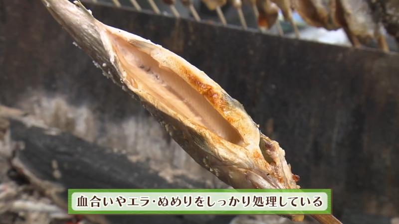 ヤマメは血合いやエラ・ぬめりをしっかり処理している