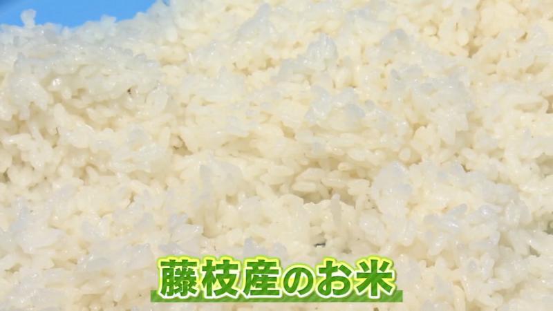 藤枝産のお米