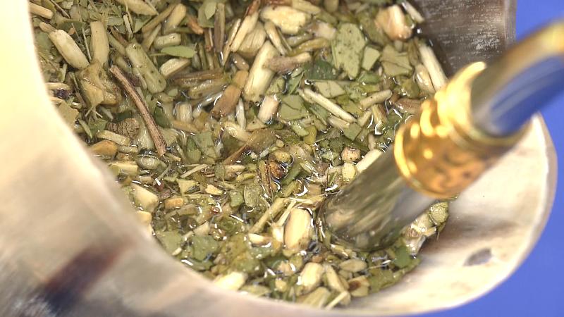 水が注がれた茶葉