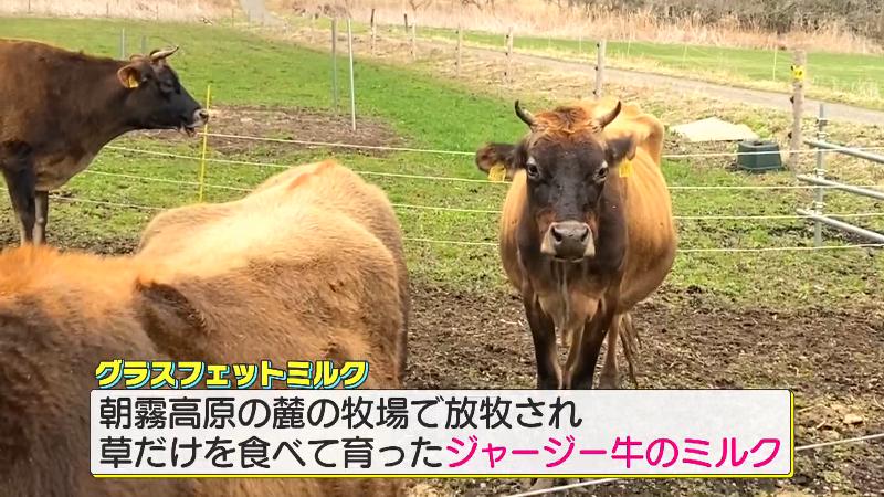 朝霧高原のグラスフェッドミルク