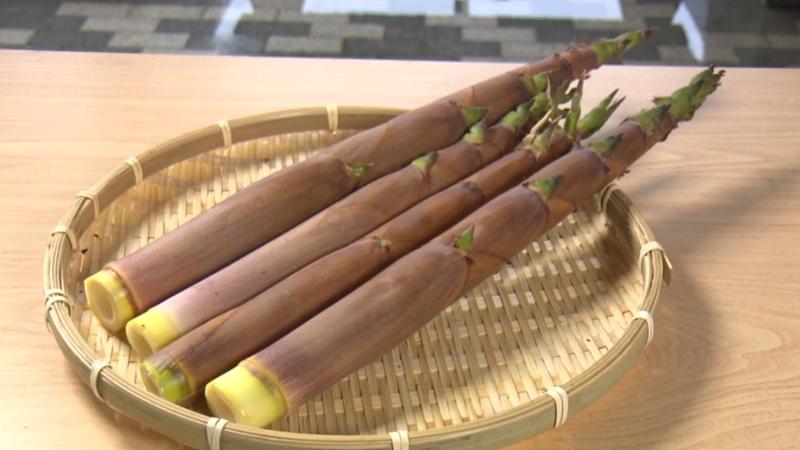 ハチク