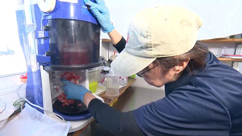 イチゴを削る様子