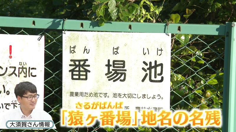 番場池(ばんばいけ)