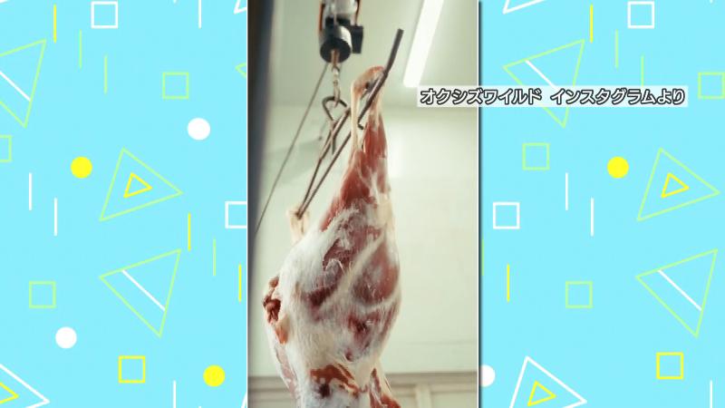 オクシズで狩猟されたシカ肉
