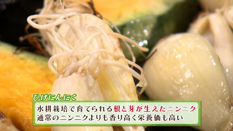 ヒゲニンニク