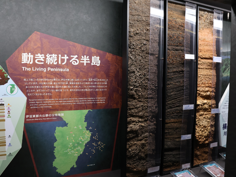 地層の展示物