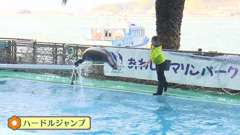 ハードルジャンプ
