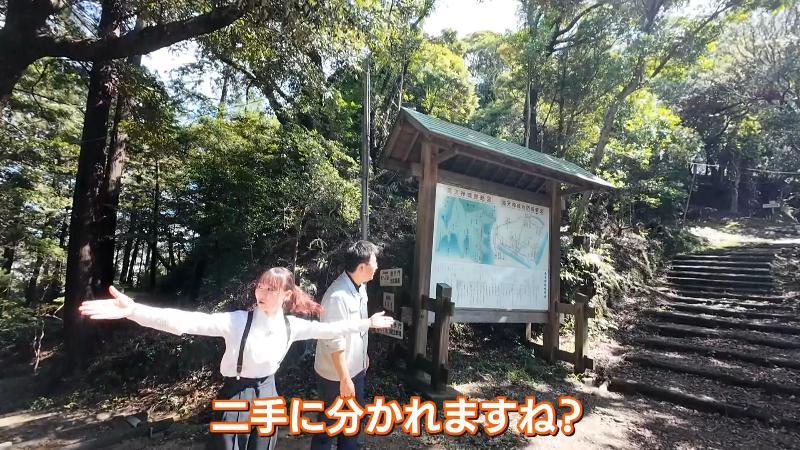 二手に分かれる道