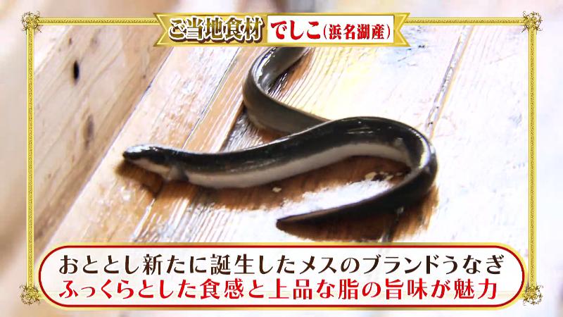 でしこ(浜名湖産ブランドうなぎ)