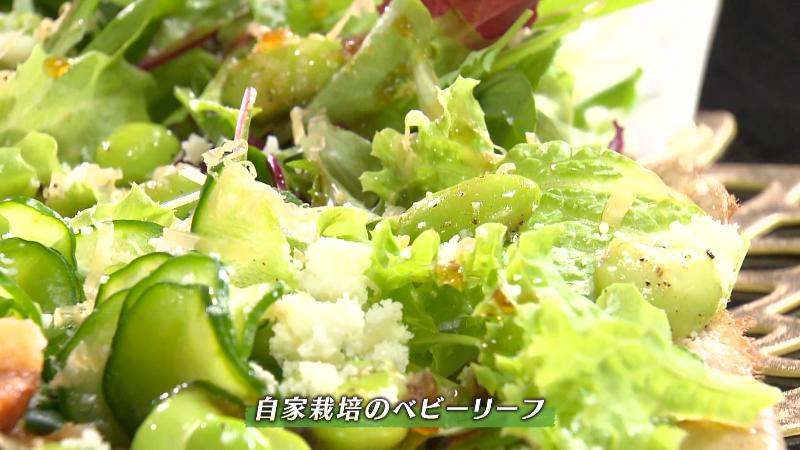 自家栽培のベビーリーフ