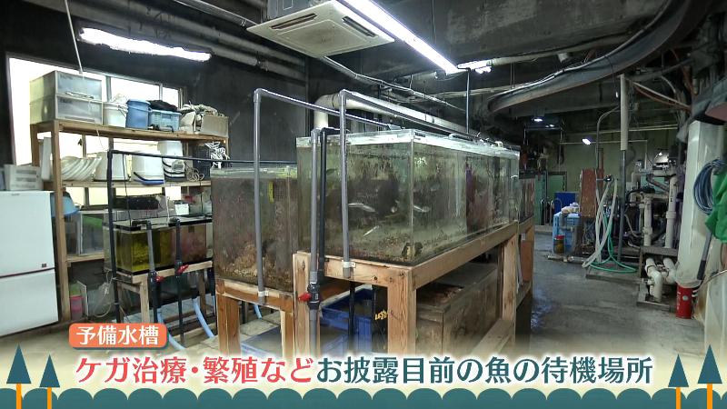 予備水槽
