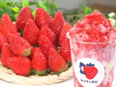 宝の山(800円)