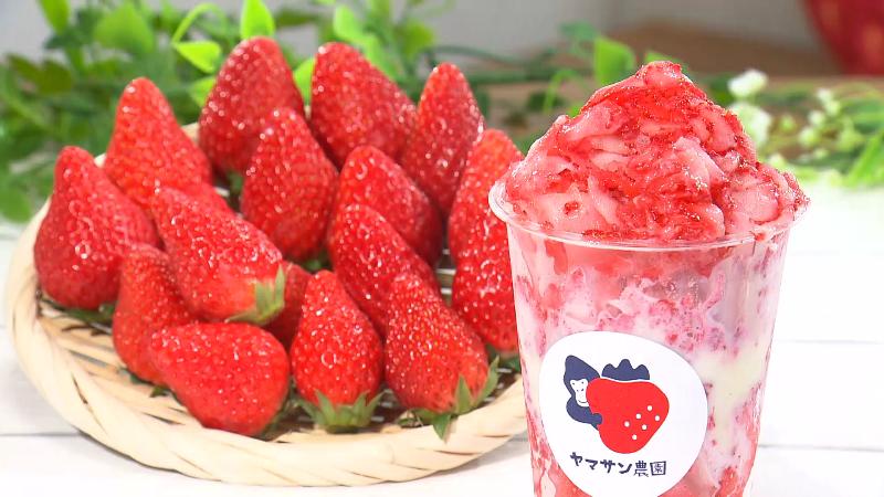 宝の山(800円)