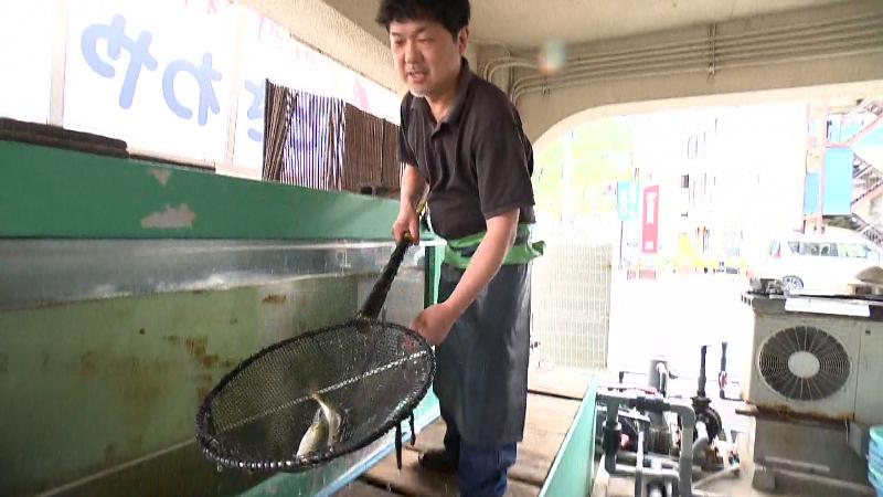 店内の水槽からアジをすくう
