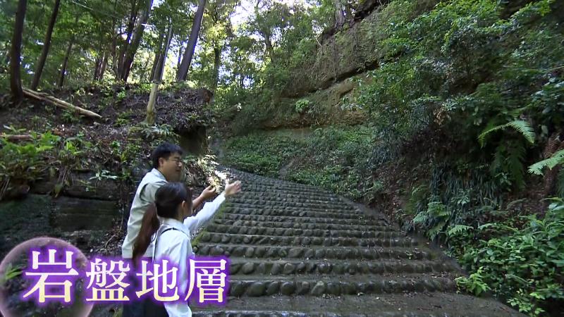 階段の脇に見られる岩盤地層